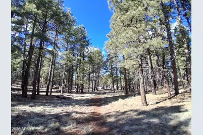 13696 E Kings Deer Road #-, Parks, AZ 86018 - Photo 19