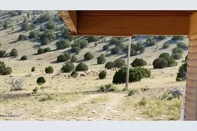 41198 US 180 --, Nutrioso, AZ 85932 - Photo 9
