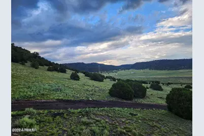 41198 US 180 --, Nutrioso, AZ 85932 - Photo 41