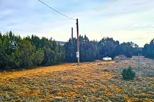 55 N Country Ln, Concho, AZ 85924 - Photo 23