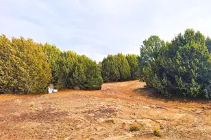 55 N Country Ln, Concho, AZ 85924 - Photo 25