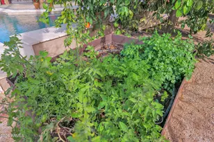 518 S Lagoon Dr, Gilbert, AZ 85233 - Photo 49