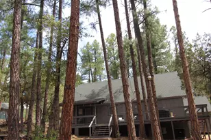 8834 W Marys Circle, Pine, AZ 85544 - Photo 31