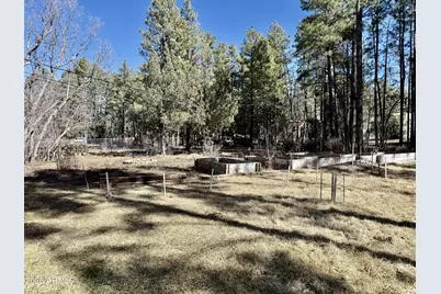 3918 Meadow View Drive, Lakeside, AZ 85929 - Photo 33