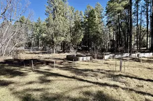 3918 Meadow View Dr, Lakeside, AZ 85929 - Photo 33