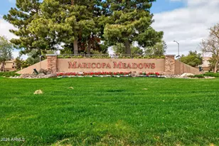 46008 W Tulip Ln, Maricopa, AZ 85139 - Photo 37