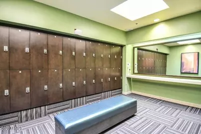 3842 E Cat Balue Drive, Phoenix, AZ 85050 - Photo 43