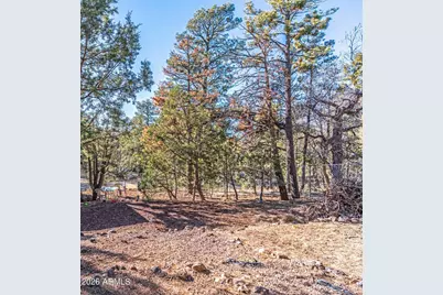 3630 Rainbow Lake Drive, Lakeside, AZ 85929 - Photo 27