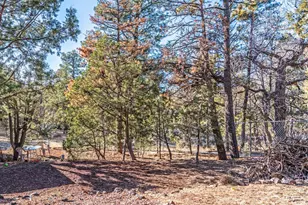 3630 Rainbow Lake Dr, Lakeside, AZ 85929 - Photo 27