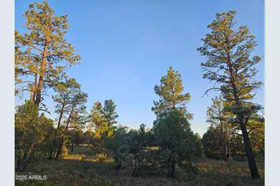 4843 W Bison Trail #41, Lakeside, AZ 85929 - Photo 13