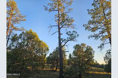 4843 W Bison Trail #41, Lakeside, AZ 85929 - Photo 7