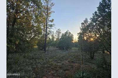 4843 W Bison Trail #41, Lakeside, AZ 85929 - Photo 11