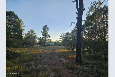 4843 W Bison Trail #41, Lakeside, AZ 85929 - Photo 9