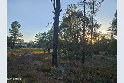 4843 W Bison Trail #41, Lakeside, AZ 85929 - Photo 5