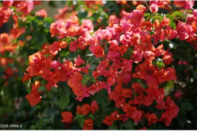 12043 W Desert Sun Lane, Peoria, AZ 85383 - Photo 41