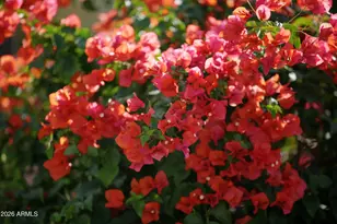 12043 W Desert Sun Ln, Peoria, AZ 85383 - Photo 41