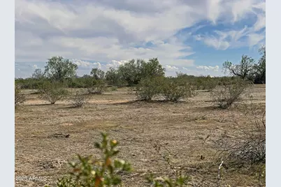 0 W Pampas Grass Road #4, Maricopa, AZ 85139 - Photo 5