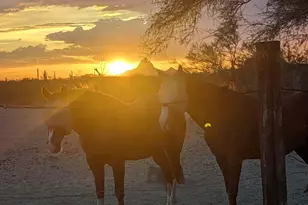 33597 E Davis Ranch Rd, Marana, AZ 85658 - Photo 39