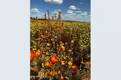 3025 W Kerry Lane, Phoenix, AZ 85027 - Photo 39