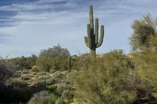 5812 E Little Wells Pass, Cave Creek, AZ 85331 - Photo 65