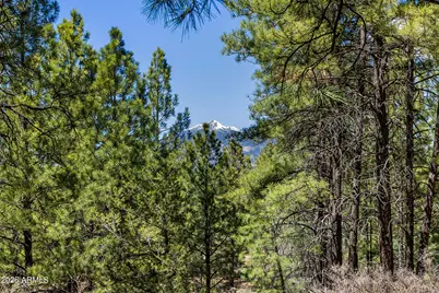 108B E Paseo Del Rio --, Flagstaff, AZ 86001 - Photo 5