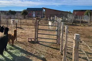 12700 Mad Man Mountain Rd, Williams, AZ 86046 - Photo 23