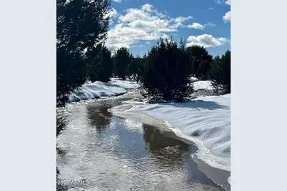 12700 Madman Mountain Road, Williams, AZ 86046 - Photo 15