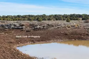 12700 Mad Man Mountain Rd, Williams, AZ 86046 - Photo 19