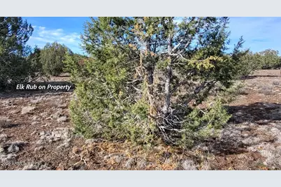 12700 Madman Mountain Road, Williams, AZ 86046 - Photo 51