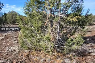 12700 Mad Man Mountain Rd, Williams, AZ 86046 - Photo 51