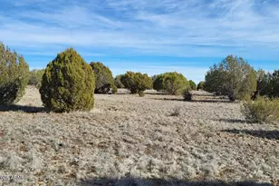 12700 Mad Man Mountain Rd, Williams, AZ 86046 - Photo 35