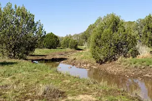 12700 Mad Man Mountain Rd, Williams, AZ 86046 - Photo 15