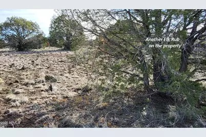 12700 Madman Mountain Road, Williams, AZ 86046 - Photo 55