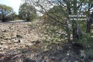 12700 Mad Man Mountain Rd, Williams, AZ 86046 - Photo 55