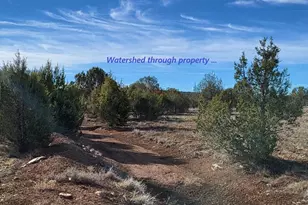 12700 Mad Man Mountain Rd, Williams, AZ 86046 - Photo 15