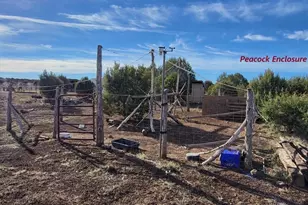 12700 Mad Man Mountain Rd, Williams, AZ 86046 - Photo 33