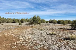 12700 Mad Man Mountain Rd, Williams, AZ 86046 - Photo 37