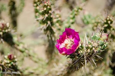 139Xx E Hawknest Road #-, Scottsdale, AZ 85262 - Photo 11