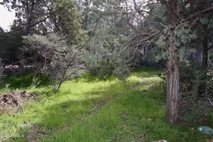 1003 N Carefree Cir, Payson, AZ 85541 - Photo 43