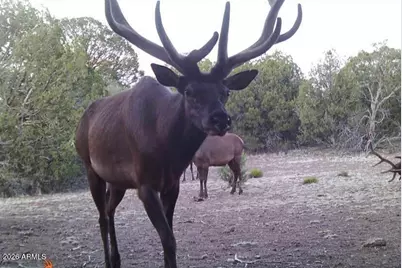 51 SW Ranch Road #51C, Williams, AZ 86046 - Photo 11