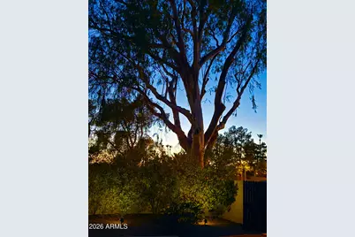 3201 E Colter Street, Phoenix, AZ 85018 - Photo 39