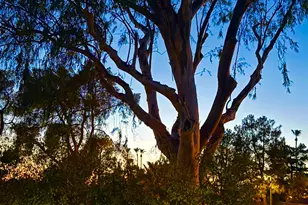 3201 E Colter St, Phoenix, AZ 85018 - Photo 39