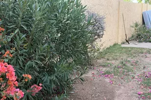 7138 W Jenan Dr, Peoria, AZ 85345 - Photo 29