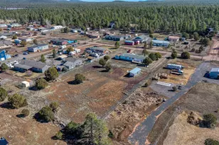 2312 Parkinson Rd, Lakeside, AZ 85929 - Photo 55