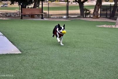 16462 W Chuparosa Lane, Surprise, AZ 85387 - Photo 37