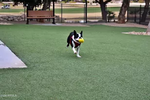 16462 W Chuparosa Ln, Surprise, AZ 85387 - Photo 37