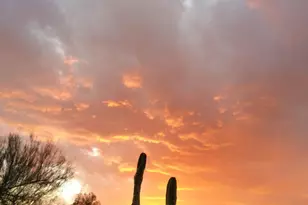 5236 S Marble Dr S, Gold Canyon, AZ 85118 - Photo 55