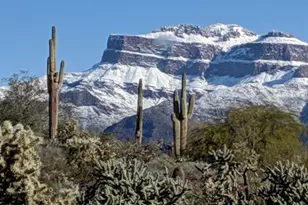 5236 S Marble Dr S, Gold Canyon, AZ 85118 - Photo 57