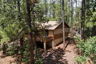 3011 S Wapiti Ln, Pinetop, AZ 85935 - Photo 25