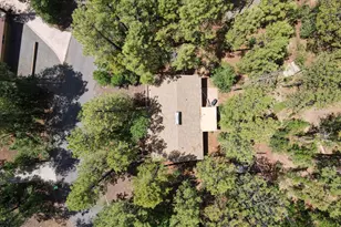 3011 S Wapiti Ln, Pinetop, AZ 85935 - Photo 21